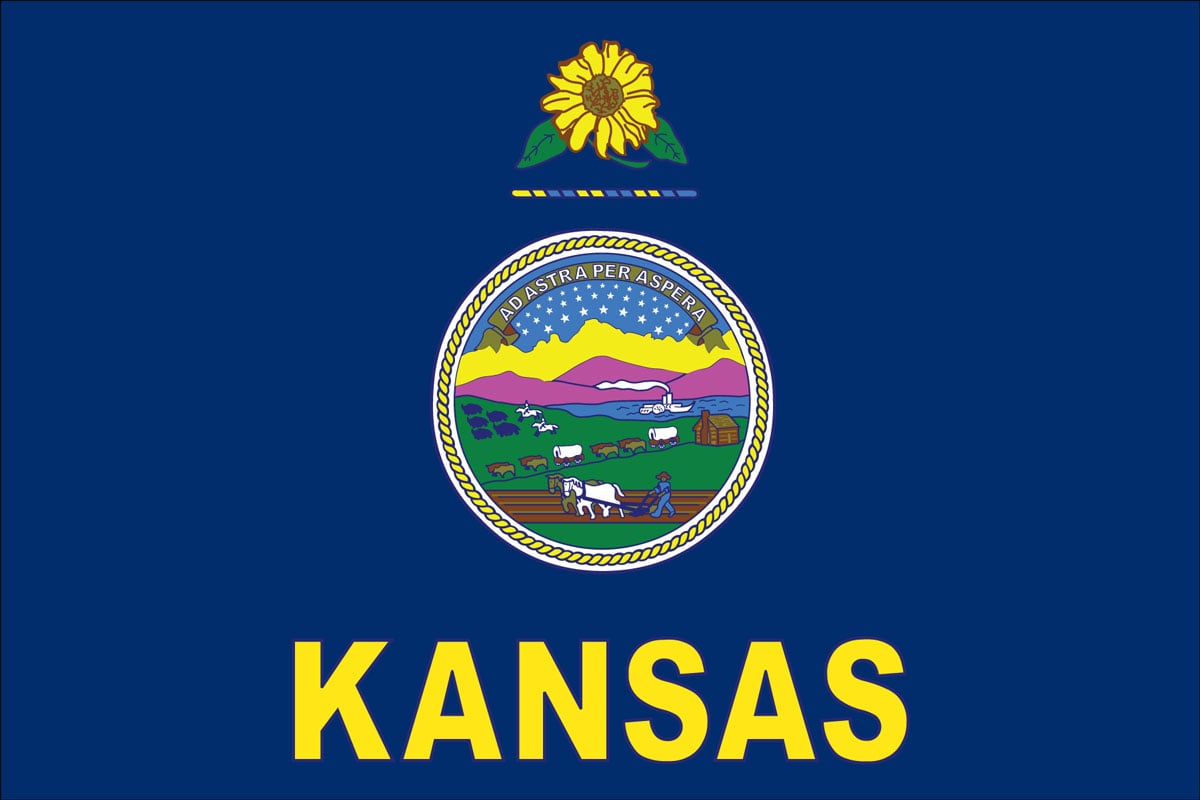 Kansas Supreme Court Rules Self-Defense Doesn’t Apply When Bystanders Are Injured