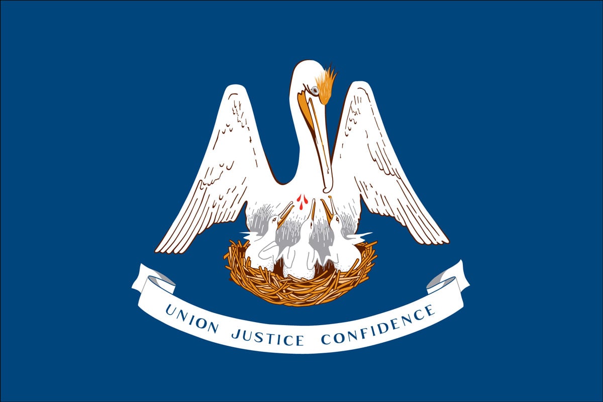 Changed Votes Results In Failure To Override Veto Of Louisiana’s Constitutional Carry Bill