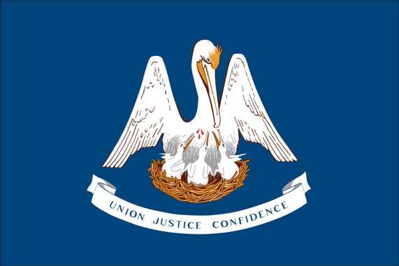 Changed Votes Results In Failure To Override Veto Of Louisiana’s Constitutional Carry Bill
