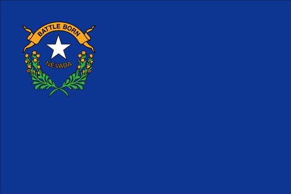 Hey Nevada; Private Gun Sales Are Now Illegal