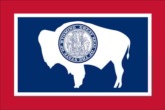 Wyoming Bill Would Ban Gun Buyback Programs