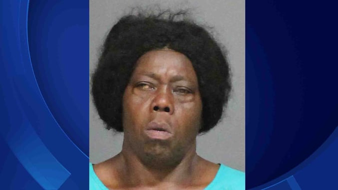 Should Have Been A DGU? Mentally Deranged Woman Attacks Victim With Butcher Knife Outside CVS