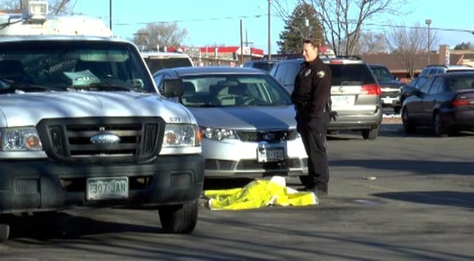 Pit Bull Shot Dead After Attacking Dog In Front Yard — Ruled Justified By Authorities.  If You Love’em, Keep’em Safe.