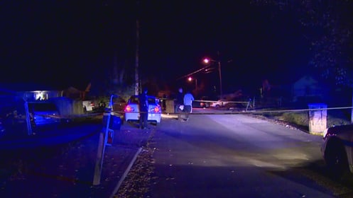 Would-be Robbers Forced To Dodge Bullets After Victim Turns Out To Be Armed