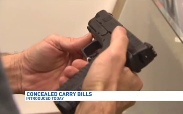 Legislation Introduced In Michigan Which Would Allow Permitless Concealed Carry