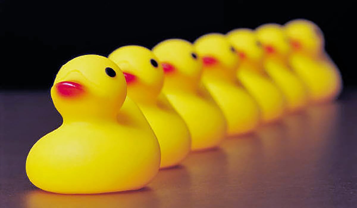 Sitting-Ducks