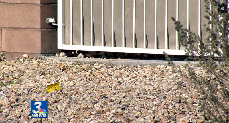 Intruder Is Shot In Face By Homeowner While Trying To Enter Through Doggie Door