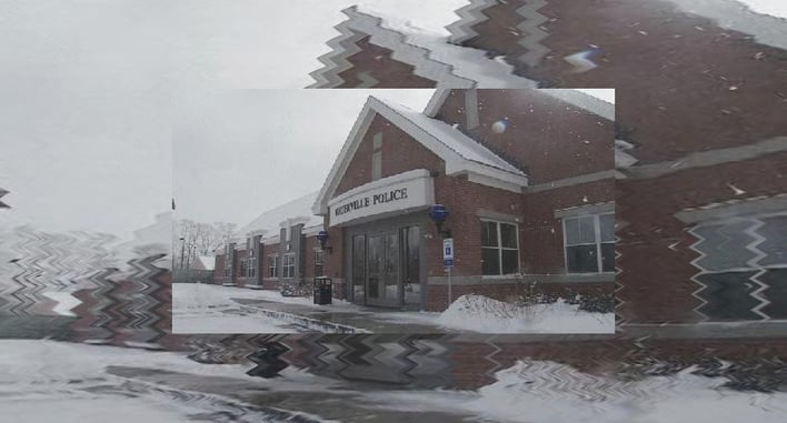 Message To Residents From Police Chief After Attack On Elderly Woman: Arm Yourselves