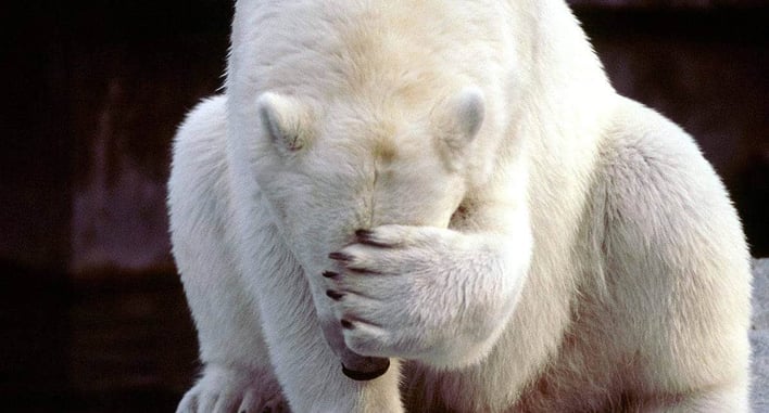 Assistant In Concealed Carry Class Shoots Hand While Taking Apart Pistol