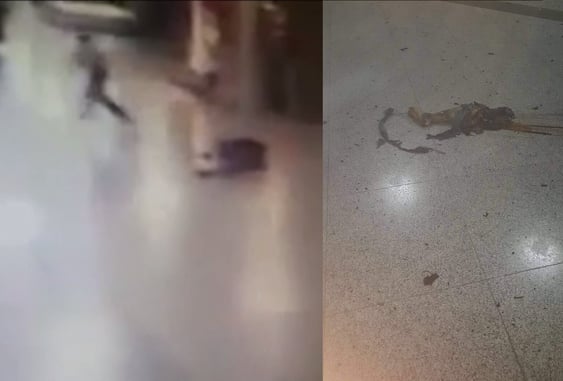 [NSFW] Security Guard Shoots Suicide Bomber Before He Can Detonate Vest With People Nearby