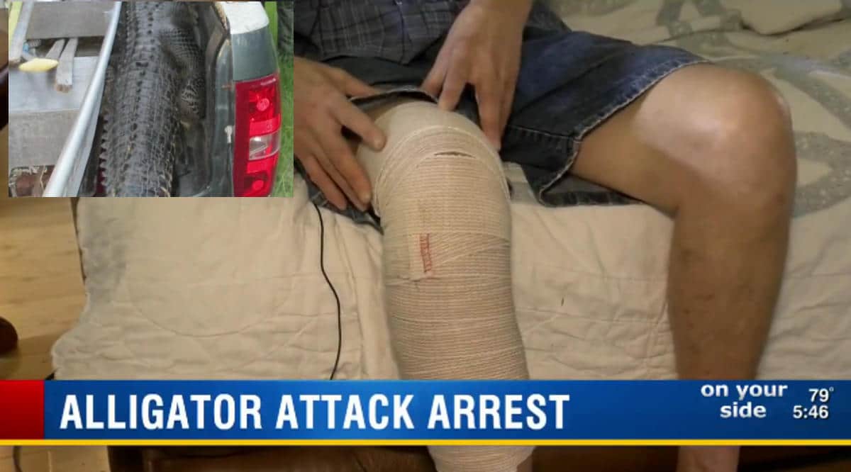 Man Arrested After Shooting Alligator Threatening His Livestock