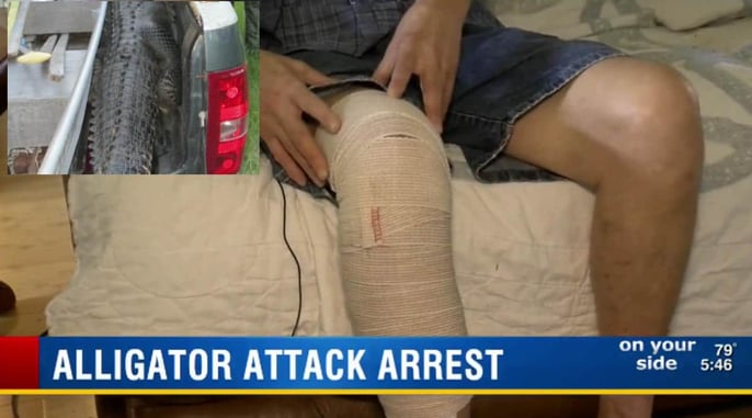 Man Arrested After Shooting Alligator Threatening His Livestock