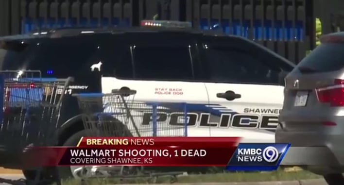 Good Guy With A Gun Saves A Woman, Infant, And Injured Good Samaritan; Kills One Bad Guy, Sends Second Running
