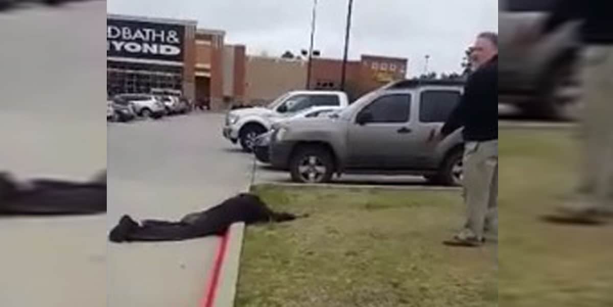 [VIDEO] Father and Son, Both Armed, Intervene during Armed Robbery of Couple, Accidentally Uncover Larger Plot