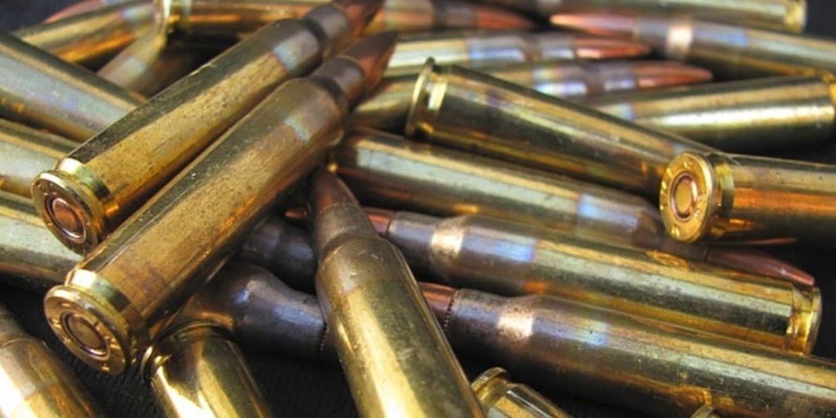 Background Checks For Ammo Purchases Declared Unconstitutional By California Judge