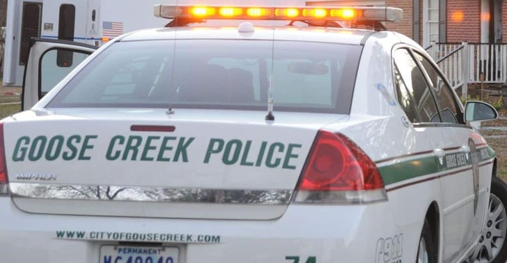 Dog Shot And Killed To Stop Attack On 7-Year-Old