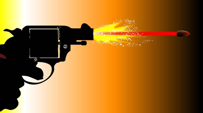 Is the Snub Enough Gun?