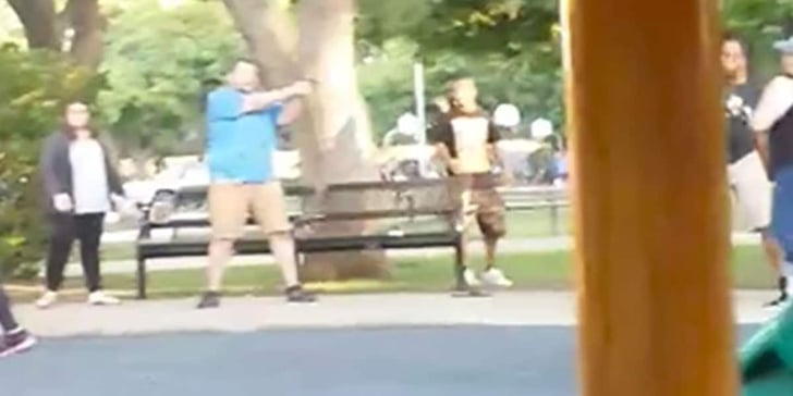 [VIDEO] Armed Citizen Draws Gun During Fight At Park