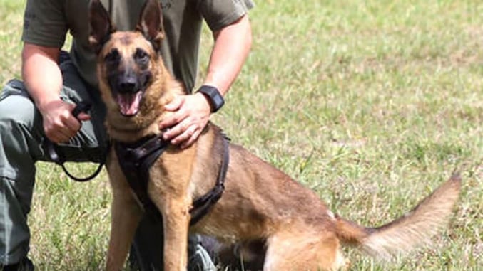 Police K9 Shot After Being Mistaken For Coyote