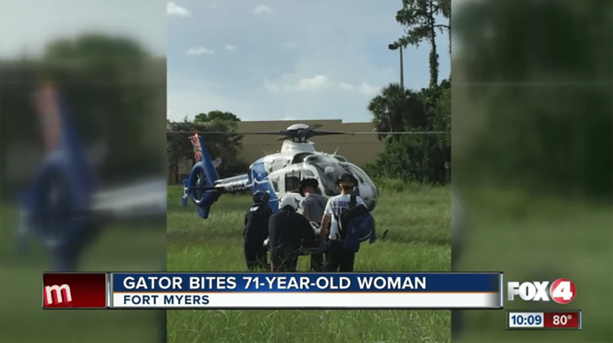 Alligator Attack Leaves FL Woman (possibly) Wishing She Had A Gun