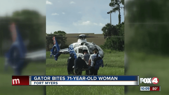 Alligator Attack Leaves FL Woman (possibly) Wishing She Had A Gun