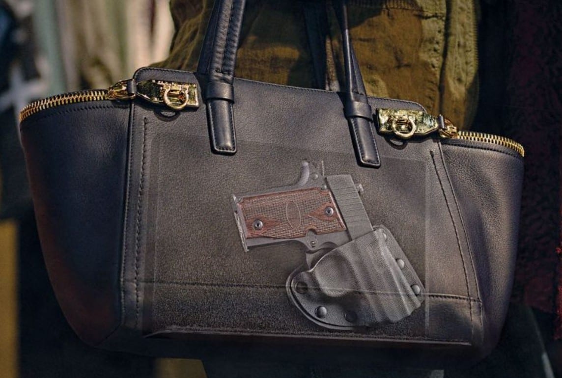 Robber Picks Wrong Woman To Try And Steal Purse From, And He Runs Like Hell When He Sees Her Gun