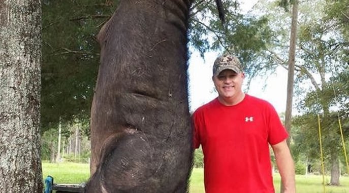 Man Shoots And Kills 820lb Wild Hog In His Yard