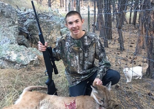 14-Year-Old Shoots Mountain Lion Who Was Wreaking Havoc On Farm