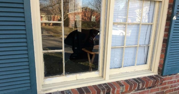 Woman Is Shot After Forcing Herself Into Home