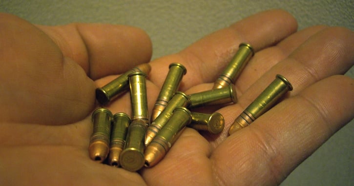 AMAZING: Armed Homeowner Scores Bloodless Victory With a .22LR and a Lot of Guts