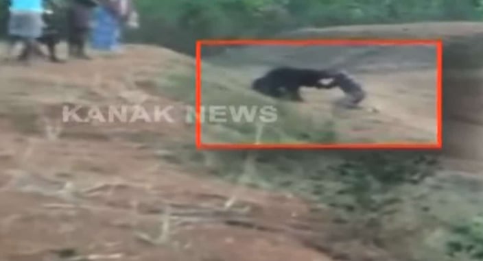 *WATCH* Man Tries To Take Selfie With Bear, Is Mauled To Death As Bystanders Watch. If You Were There, And Armed, Would You Intervene?