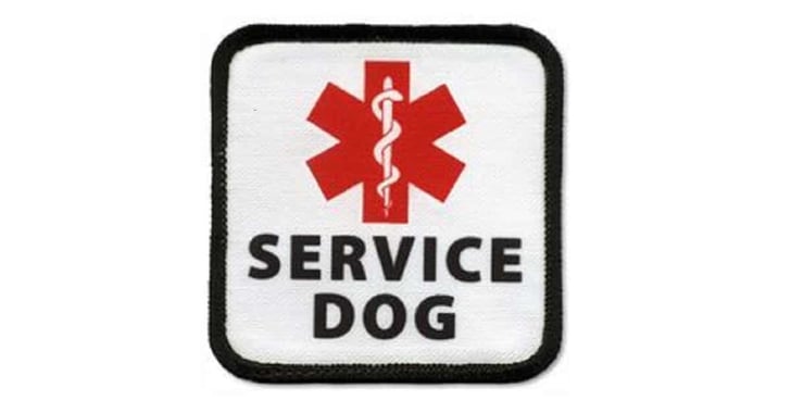 Man Opens Fire on Attacking Animal In Defense of His Service Dog