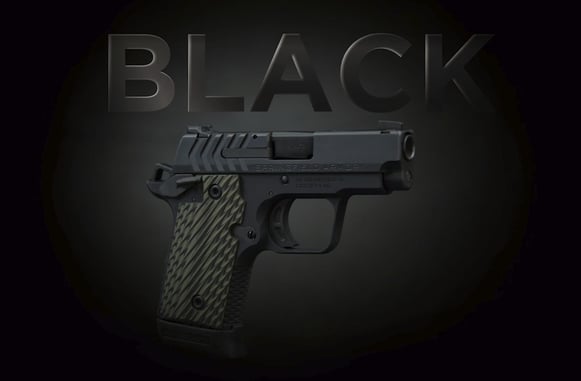 *WATCH* Springfield Armory 1911 .380 Black