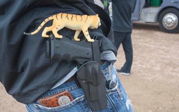 Appeals Court Rules That Open Carry Of A Firearm In Public Is Covered By The Constitution