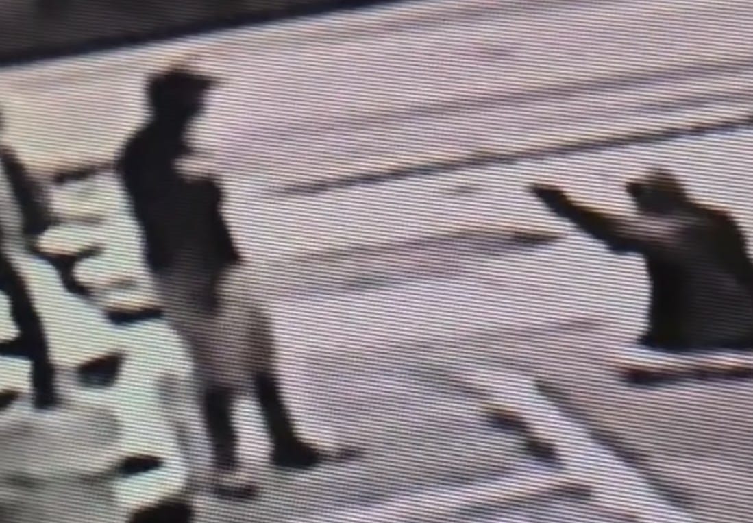 BREAKING: Florida Man Using ‘Stand Your Ground’ Defense Is Charged After Parking Lot Shooting