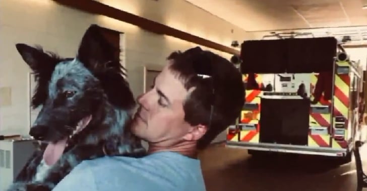 Fireman and His Family Demand Answers After Police Officer Shoots Dog