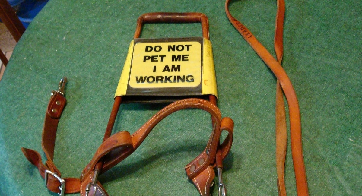 Man Forced to Shoot His Own Girlfriend’s Service Dog During Attack