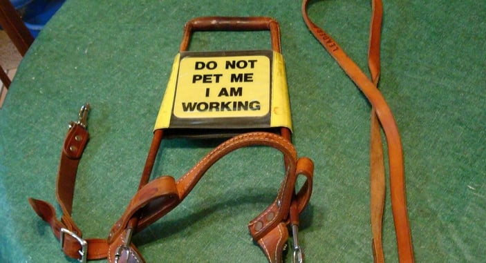 Man Forced to Shoot His Own Girlfriend’s Service Dog During Attack