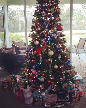 Merry Christmas from Concealed Nation