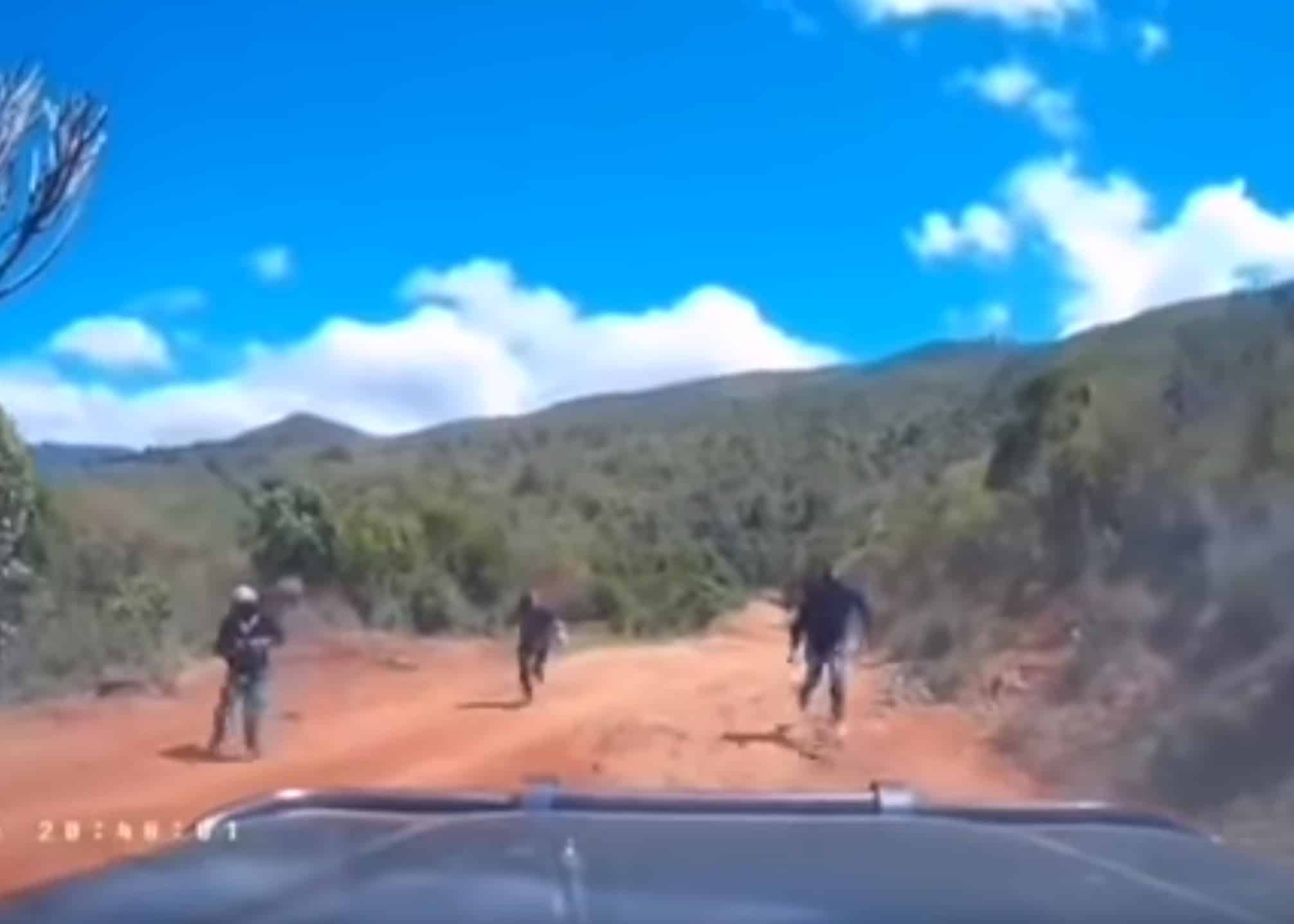 Couple Happens Upon Robbery, Escape With Their Lives