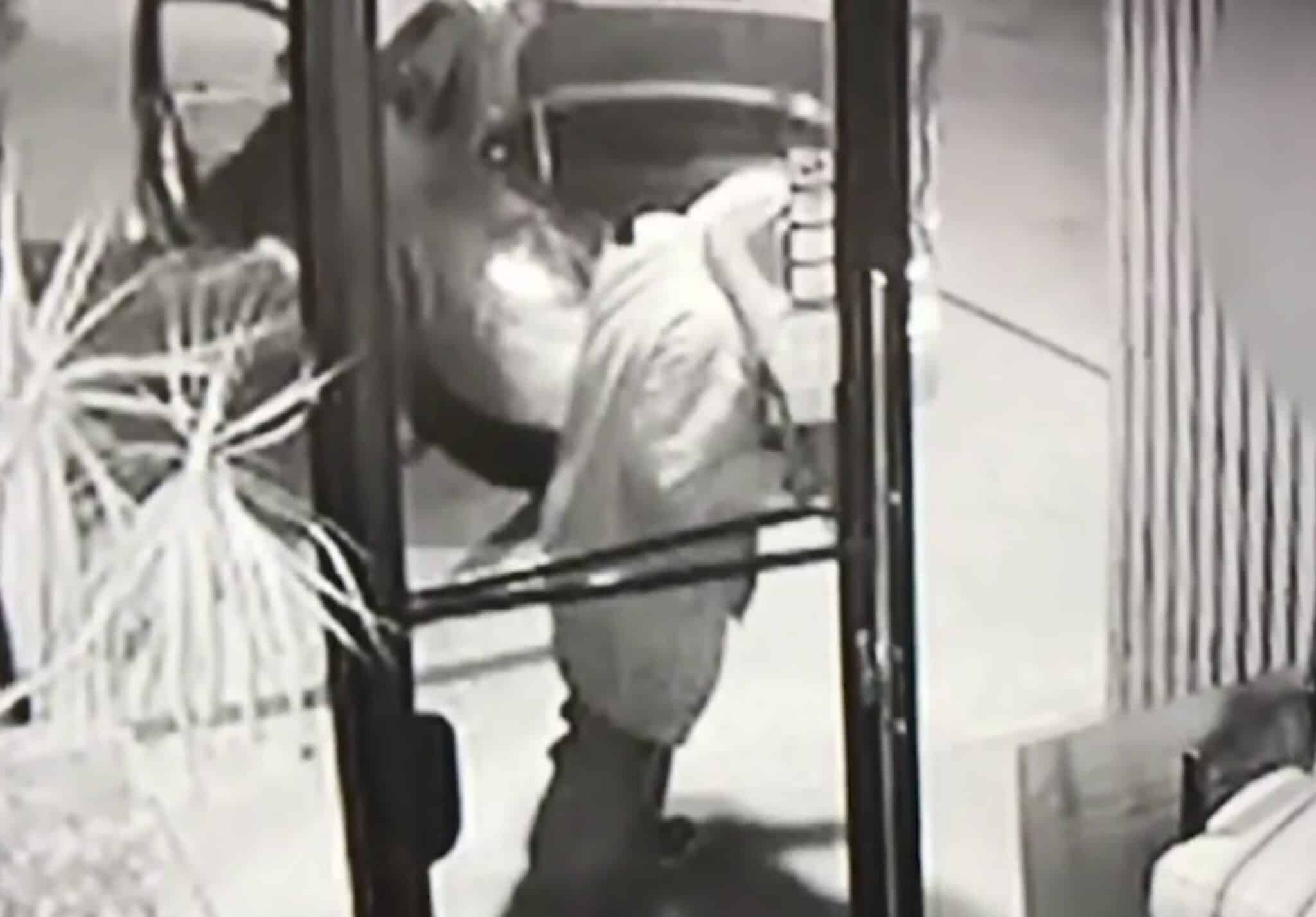 [WATCH] CA Business Owner Sleeps At Store After It Was Broken Into, And The Thieves Came Back