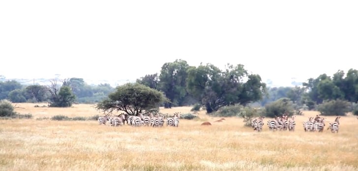 Fieldcraft: Destination Africa – Episode 4