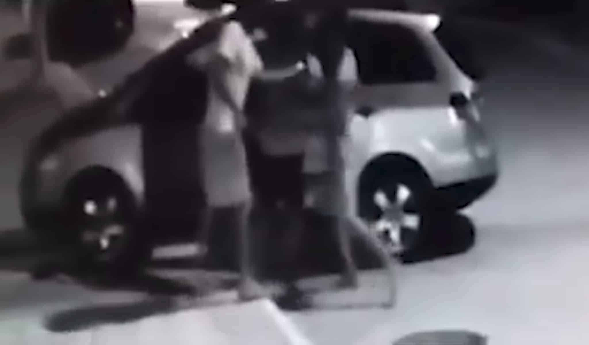 [WARNING: GRAPHIC] Knowing When To Draw; Off-Duty Officer Loses His Life While Trying To Draw Firearm