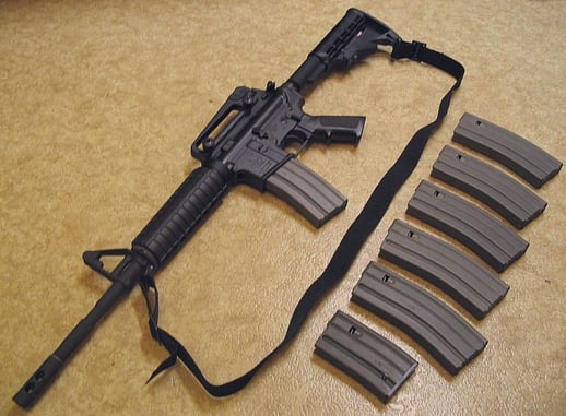 Americans Are Asked Whether Or Not We Should Follow New Zealand’s Efforts To Ban Firearms. The Results?