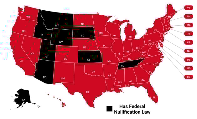 Understanding The Supremacy Clause & Why “Federal Nullification Laws” Could Land You In Prison