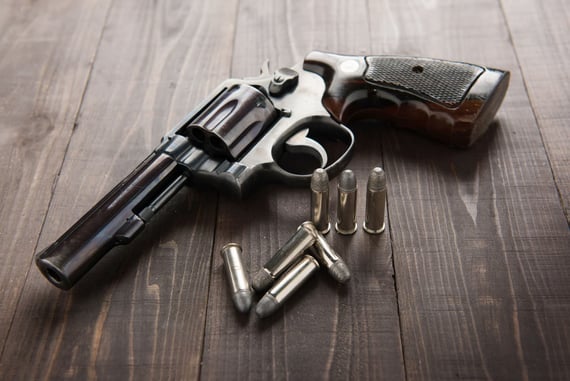 Woman Detains Burglary Suspects with Revolver Until Police Arrive