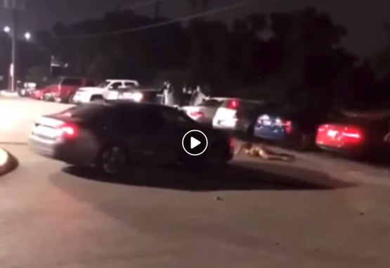 [VIDEO] If Someone Is Striking People With A Vehicle, That’s Justification For The Use Of Deadly Force