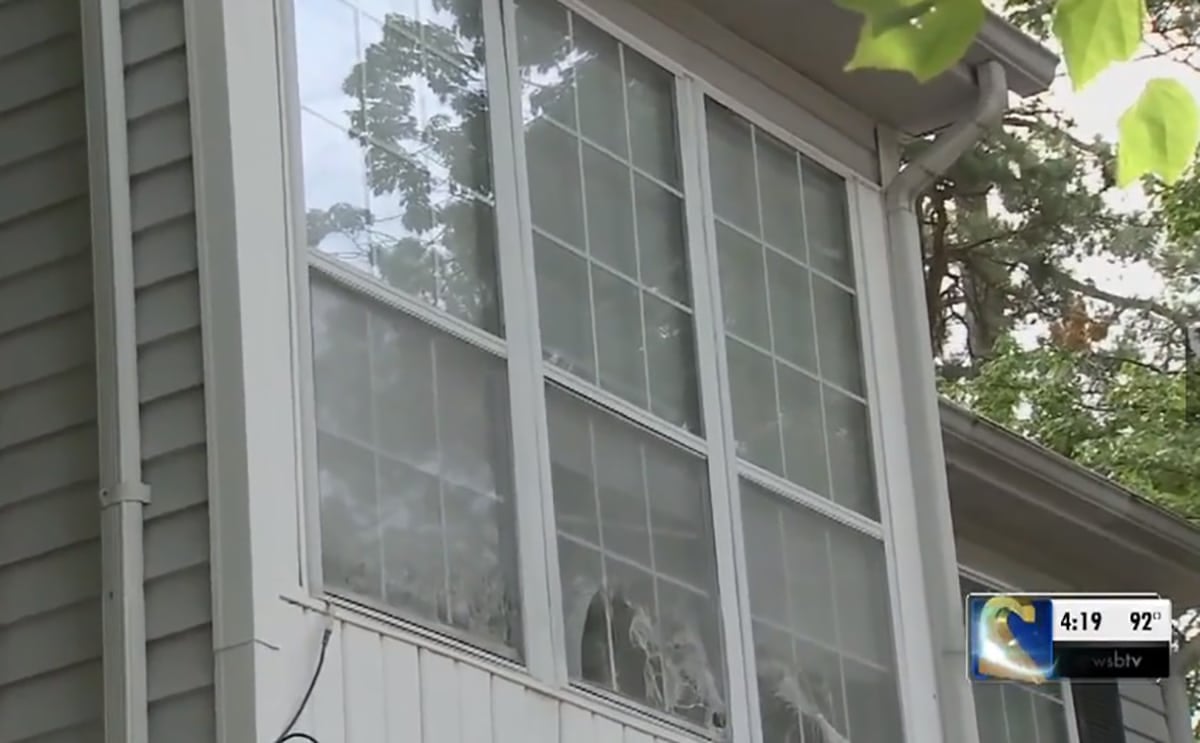 19-Year-Old Mother of the Year Invites Man Over To Rob Him With The Help Of 3 Others, Ends Up Being Shot In The Head