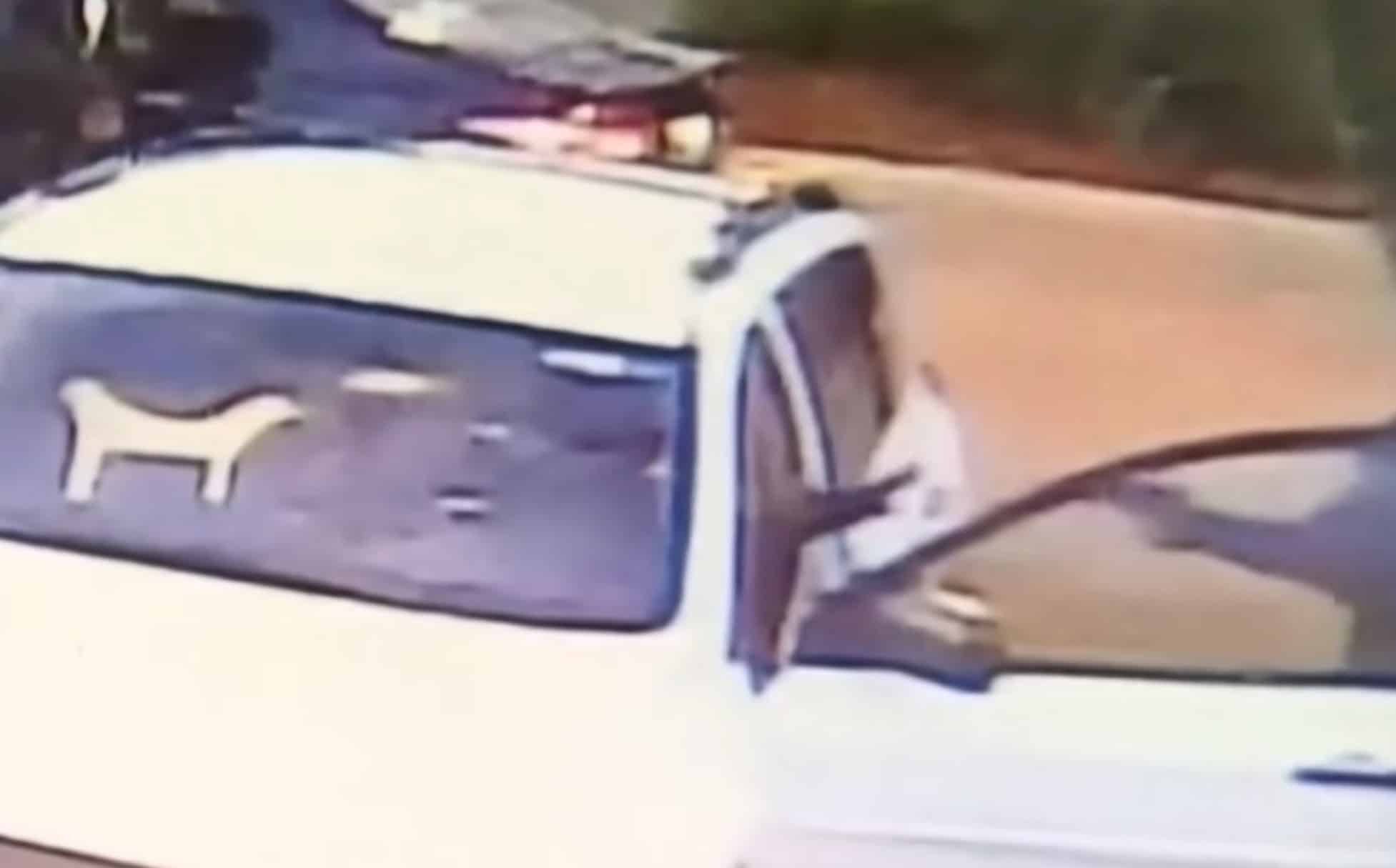 [VIDEO] Carjackers Meet Concealed Carrier, But It’s Still Not Enough To Stop Them