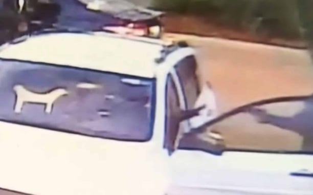[VIDEO] Carjackers Meet Concealed Carrier, But It’s Still Not Enough To Stop Them